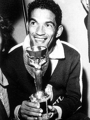 1958年瑞典世界杯,第6届世界杯足球赛