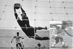 1962年智利世界杯,第7届国际足联世界杯